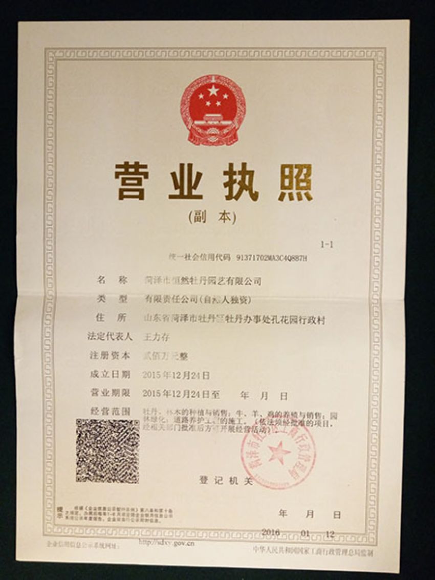 點擊查看詳細信息<br>標題：營業(yè)執(zhí)照 閱讀次數(shù)：1228