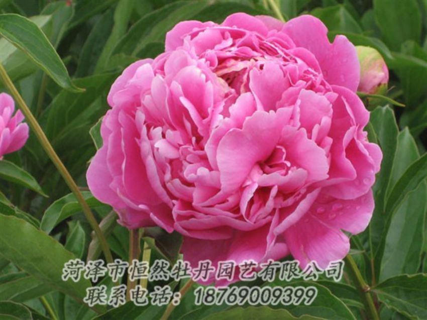 點(diǎn)擊查看詳細(xì)信息<br>標(biāo)題：月照山河 閱讀次數(shù)：1016
